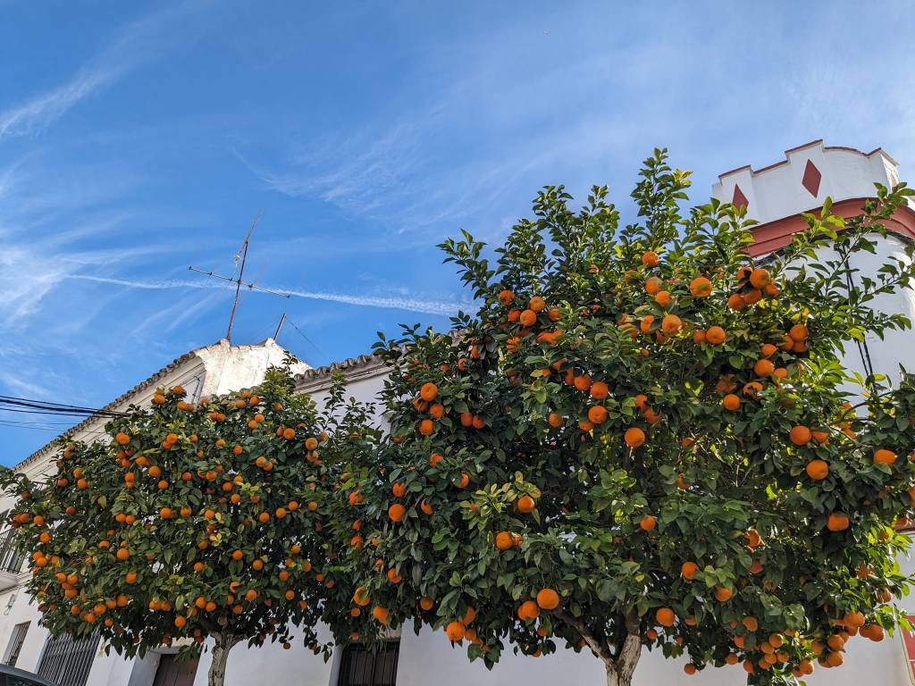 Eating on a budget when&nbsp;travelling