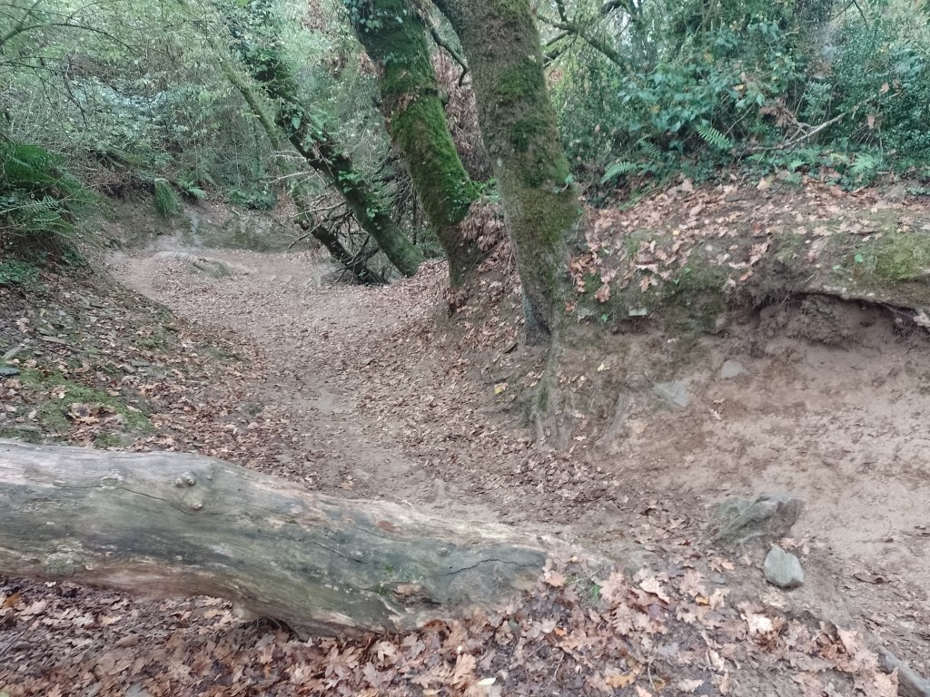 Difficult section: page 207