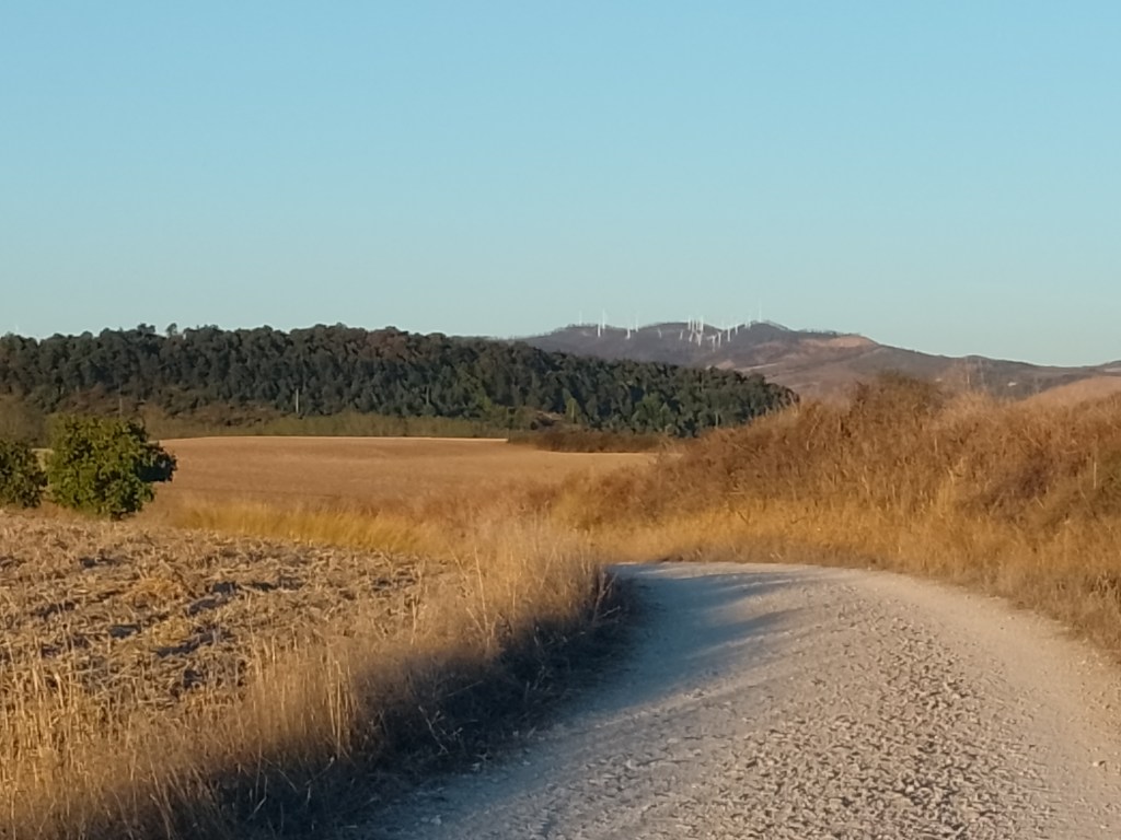 Stunning scenery: page 38