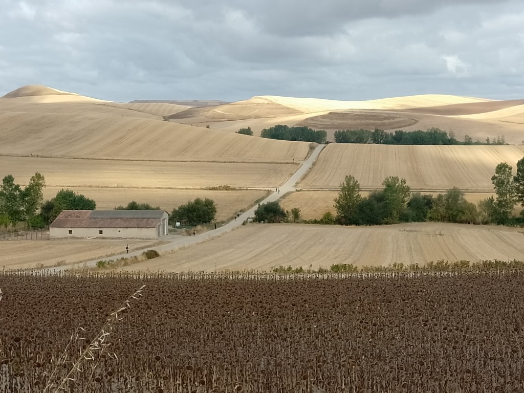 Scenery after Grañón: page 98