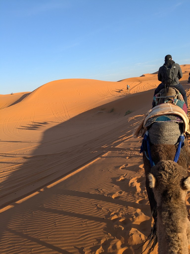 A camel ride across the Sahara - page 53