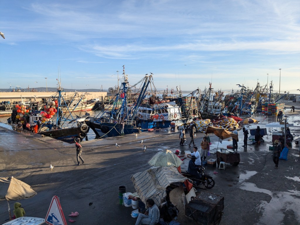 Essaouira port: page 214